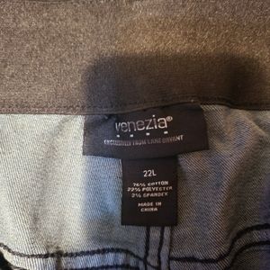 Blue Venezia jeans size 22 long